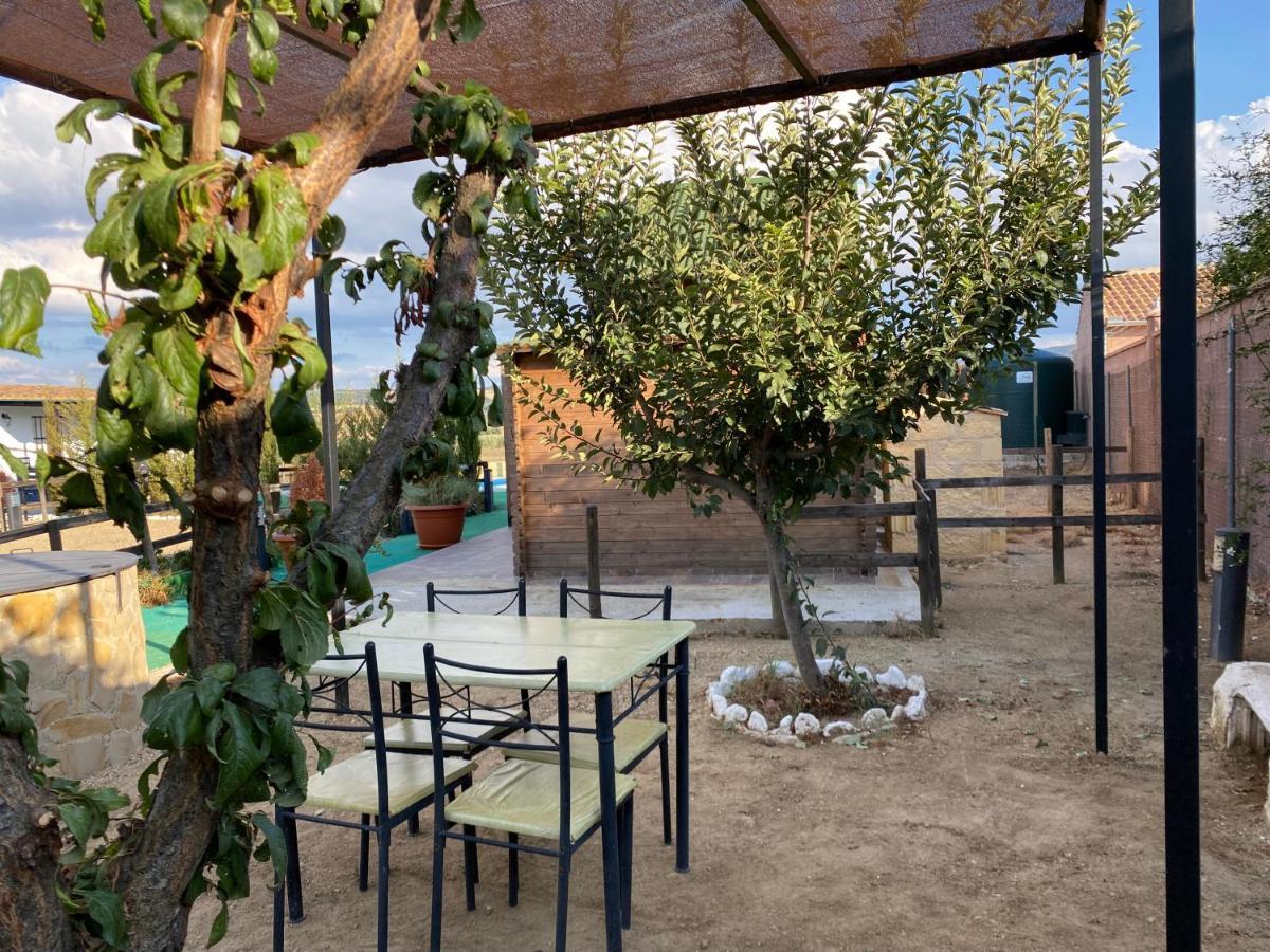 Alojamiento Rural Setenil Setenil De Las Bodegas Екстериор снимка
